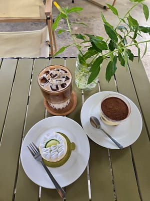 lis food 2