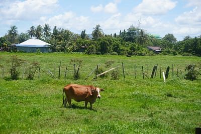 DSC02684