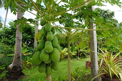 DSC02767