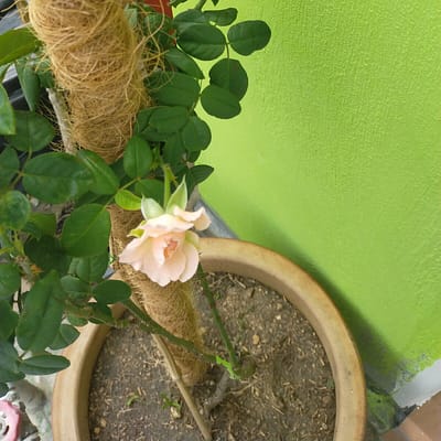 dd0ee5d0-99e7-4e57-bcc5-17a4ff4c3a35