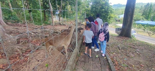 oppo_0