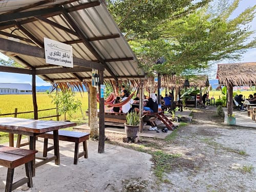 dangau 1